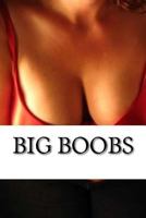 Big Boobs 154114533X Book Cover