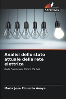 Analisi dello stato attuale della rete elettrica (Italian Edition) 6207000250 Book Cover