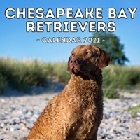 Chesapeake Bay Retrievers Calendar 2021: 16-Month Calendar, Cute Gift Idea For Retriever Lovers Women & Men B096LYP8T9 Book Cover