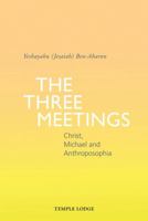 The Three Meetings: Christ, Michael and Anthroposophia 1912230917 Book Cover