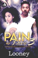 Pain Is Love 3: Cherishable Catastrophe B0BQHMD2PY Book Cover