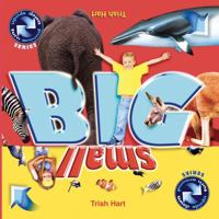 BIG and SMALL: A concept picture book for children 0648011216 Book Cover