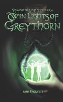 Twin Lights of Greythorn 1393239137 Book Cover