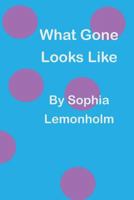 What Gone Looks Like 1496044290 Book Cover