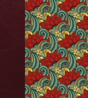 KJV Expressions Bible: Journaling Through God's Word 1619708965 Book Cover