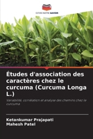 Études d'association des caractères chez le curcuma (Curcuma Longa L.) (French Edition) 6209031706 Book Cover