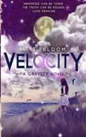 Velocity 1543248624 Book Cover
