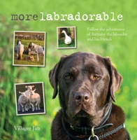 Morelabradorable: Follow the adventures of Barnaby the labrador and his friends 1782494472 Book Cover