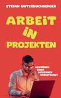 Arbeit in Projekten: Abgründe einer modernen Arbeitswelt 3695171669 Book Cover