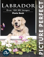 Labrador: Picture Perfect Photo Book B0CCCX5B5P Book Cover