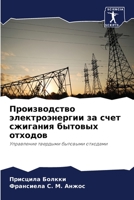 Производство электроэнергии за счет сжиг 6206282546 Book Cover