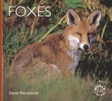 Foxes 0896584674 Book Cover