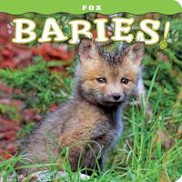 Fox Babies! 1560376872 Book Cover