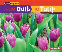 From Bulb to Tulip 1467761095 Book Cover