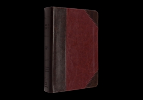 ESV Reader's Bible (TruTone, Brown/Cordovan, Portfolio Design) 1433599538 Book Cover