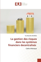 La gestion des risques dans les systèmes financiers decentralisés: Cadre théorique 6203428906 Book Cover