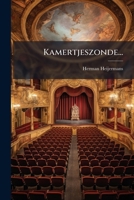 Kamertjeszonde... (Dutch Edition) 1024737209 Book Cover