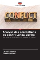 Analyse des perceptions du conflit Lunda-Luvale (French Edition) 6207969553 Book Cover