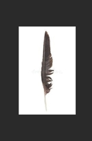 Poesie Adultere B0C6WFZV9P Book Cover