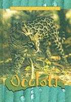 Ocelots (Animals of the Rainforest) 1844211177 Book Cover