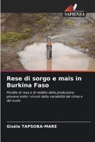 Rese di sorgo e mais in Burkina Faso (Italian Edition) 6208517273 Book Cover
