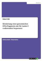 Klonierung eines genomischen DNA-Fragments mit f�r Lamin C codierenden Sequenzen 3638951154 Book Cover