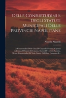 Delle Consuetudini E Degli Statuti Municipali Delle Provincie Napolitane: Le Consuetudini Delle Città Di Capua Ed Aversa, Capitoli Dell'assisa O Statu 1022284797 Book Cover