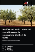 Bonifica del suolo colpito dal sale attraverso la piantagione di alberi da frutta 6204041401 Book Cover