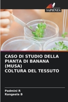 Caso Di Studio Della Pianta Di Banana (Musa) Coltura del Tessuto (Italian Edition) 6209478077 Book Cover