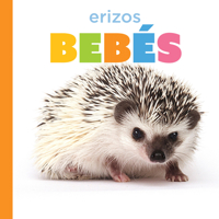 Erizos bebés (El principio de los) (Spanish Edition) B0HBPRTDNN Book Cover
