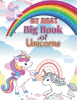 My First Big Book of Unicorns B0BTXLM6BY Book Cover