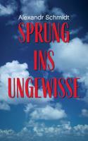 Sprung Ins Ungewisse (German Edition) 3748104405 Book Cover
