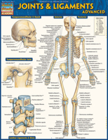 Joints Ligaments Advanced 1423224183 Book Cover