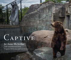 Captive 1590565622 Book Cover