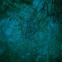 Pine 1732124132 Book Cover