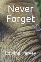 Never Forget: a novelette 0992512565 Book Cover