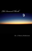 The Immoral Church 1544033435 Book Cover