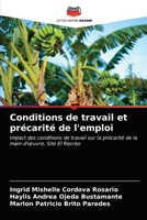 Conditions de travail et précarité de l'emploi: Impact des conditions de travail sur la précarité de la main-d'œuvre, Site El Recreo 6203685100 Book Cover