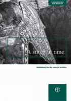 A Stitch in Time: Guidelines for the Care of Textiles 0715175955 Book Cover