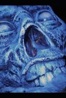 Zombie Diary 1093960795 Book Cover