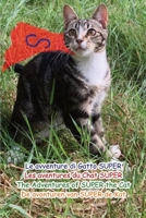 Le avventure di Gatto SUPER-Les aventures de Chat SUPER- The Adventures of SUPER the Cat-De avonturen van SUPER de Kat (Multilingual Edition) B0F8PNXG21 Book Cover