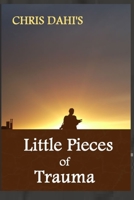 Little Pieces of Trauma: A Collection of True and Amazing Stories of War in Africa Told by Children B099C3GKQH Book Cover