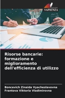 Risorse bancarie: formazione e miglioramento dell'efficienza di utilizzo 6209701450 Book Cover