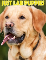 Just Lab Puppies: 2020 Planner and Calendar (Dog Breed Calendar) Notebook, Book, Planner, Organizer, Inspirational Quotes gag gift for women and men: notes contacts Months Years planner dog lover cat  1654608505 Book Cover