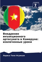 Внедрение инъекционног&# 6205857715 Book Cover