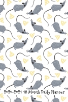 2020 - 2021 18 Month Daily Planner: Cute Gray Rats with Cheese Cover Daily Organizer Calendar Agenda 6x9 Work, Travel, School Home Monthly Yearly Views To Do Lists Blank Notes Birthday Anniversary Rem 171002898X Book Cover