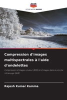 Compression d'images multispectrales à l'aide d'ondelettes (French Edition) 6209778631 Book Cover