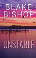 Unstable (Vantage Security) 1951447522 Book Cover
