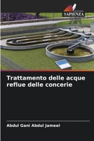 Trattamento delle acque reflue delle concerie (Italian Edition) 6208348137 Book Cover