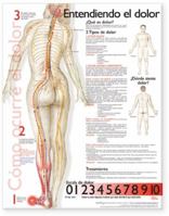 Understanding Pain Anatomical Chart in Spanish 0781782295 Book Cover